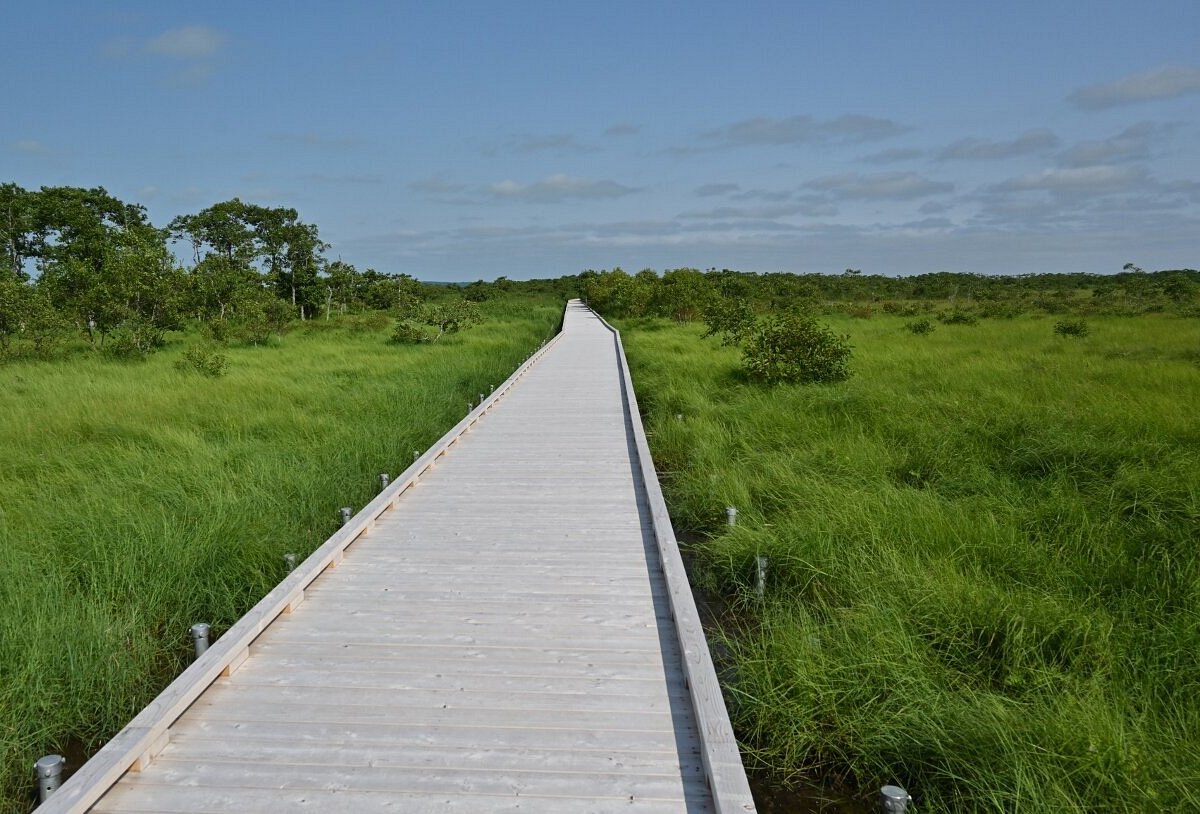 🏞️ 구시로시 습원 전망대 이미지 8